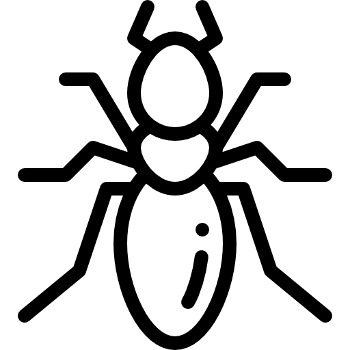 disinfestazione formiche