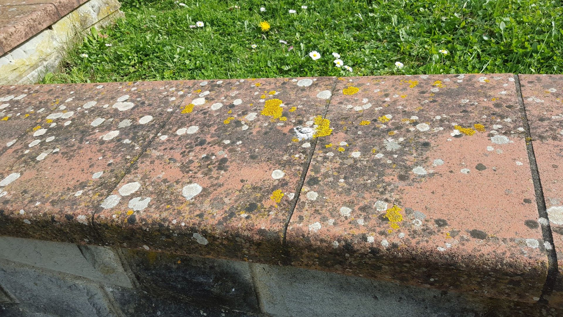 mattonelle da esterno