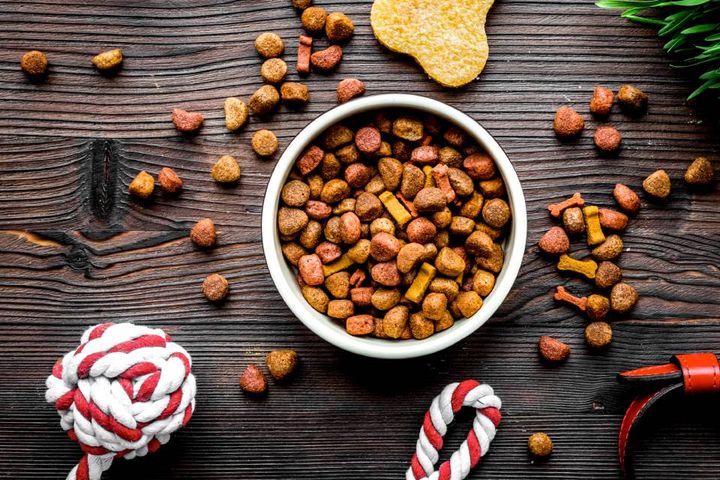 Cibo per cani