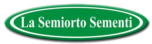 semiorto