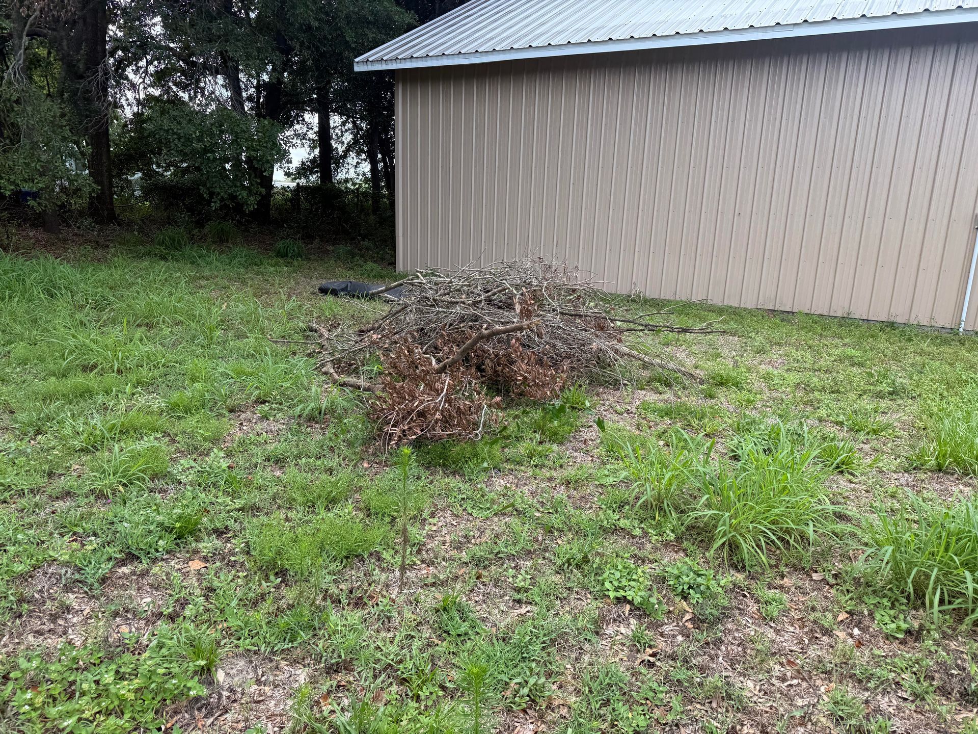 A large pile of branches is in front of a house