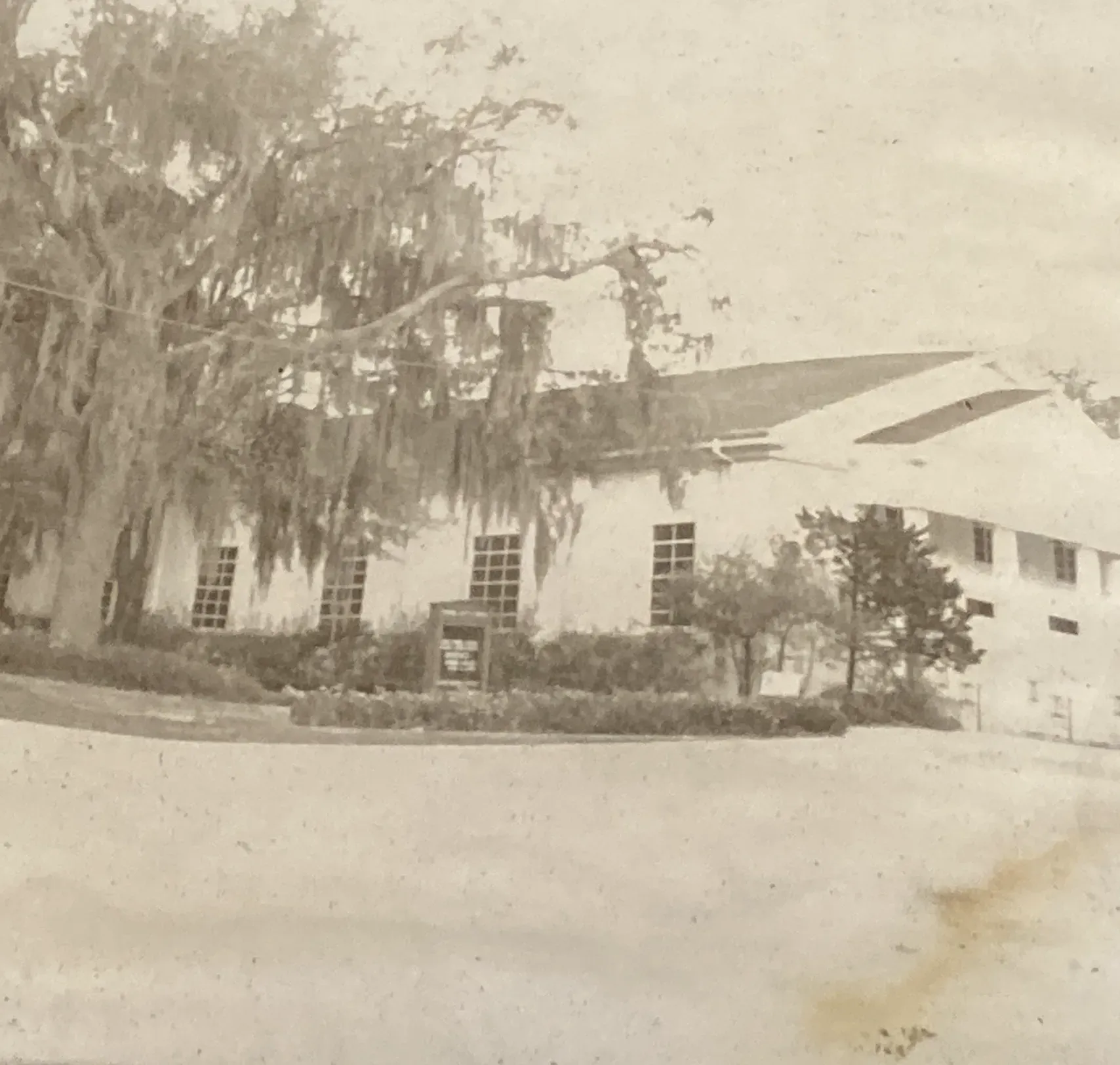 An old, sepia-toned photo shows a white building partially obscured by a large tree.