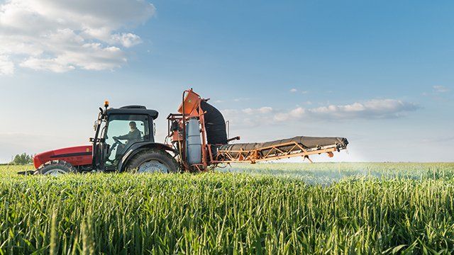 Tractor Spraying Wheat — Farm Machinery in Greeneville, TN