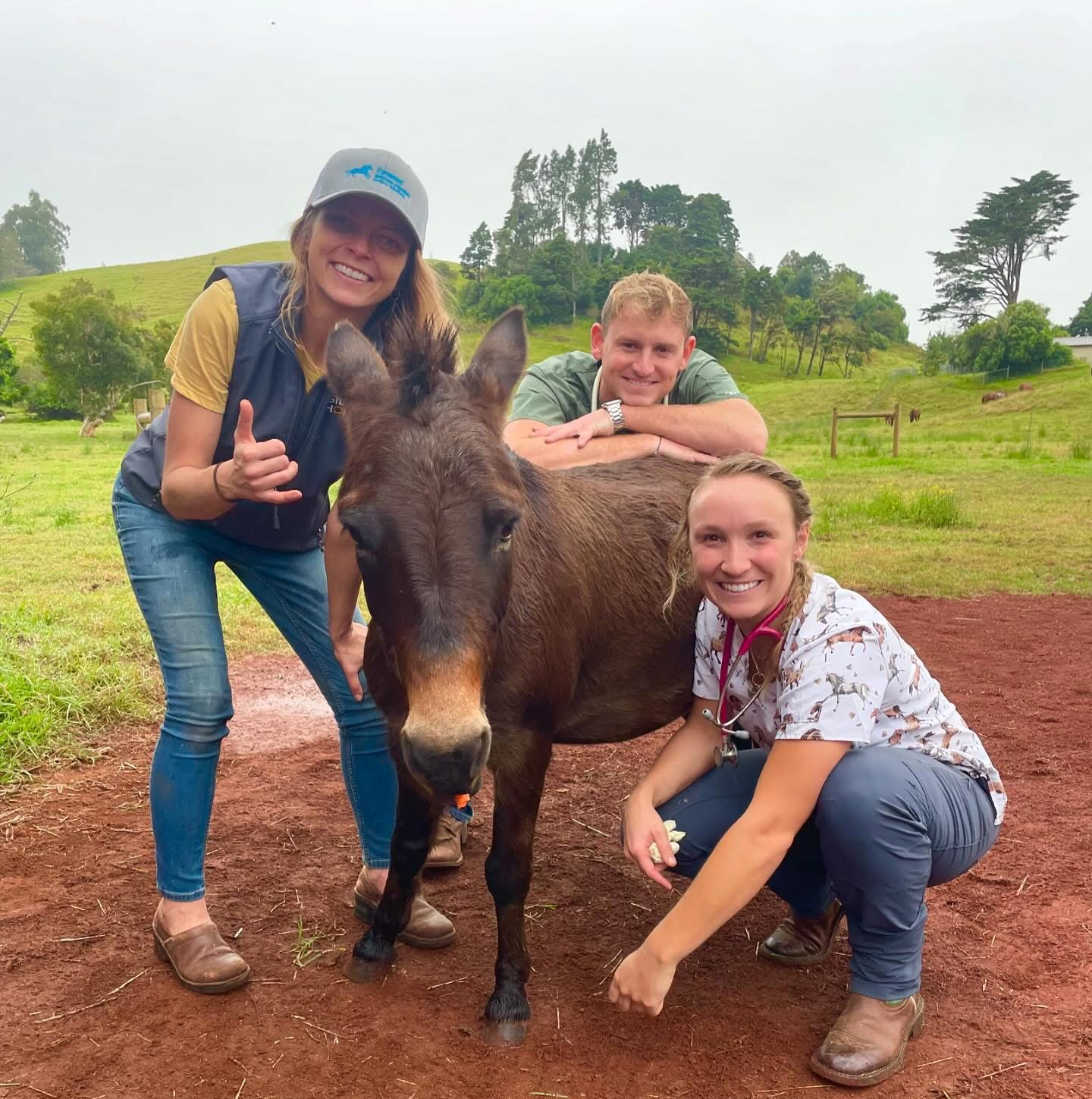Three people posing for a picture with a donkey