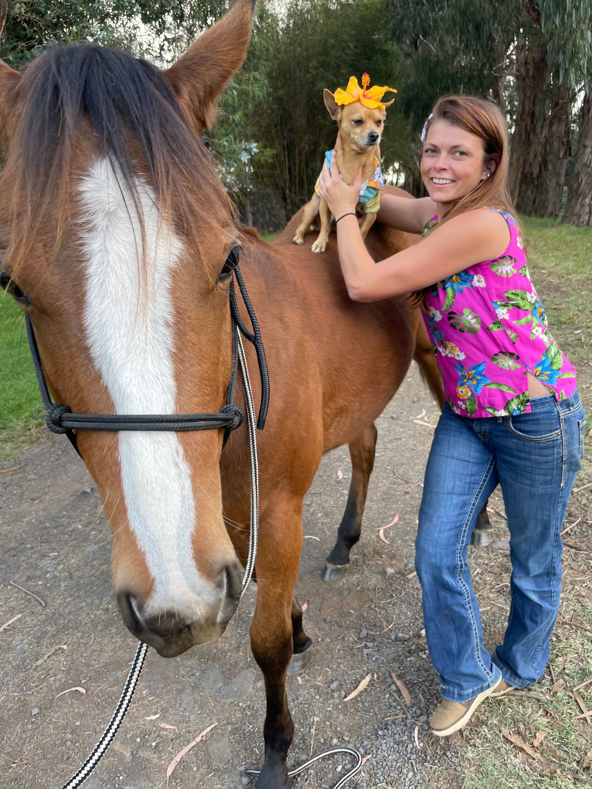A dog is sitting on the beach looking at the ocean.