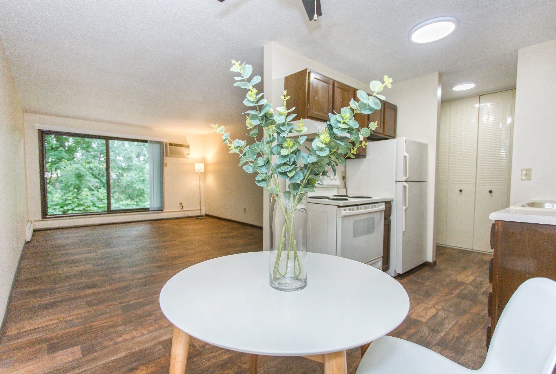 Plants in front of window