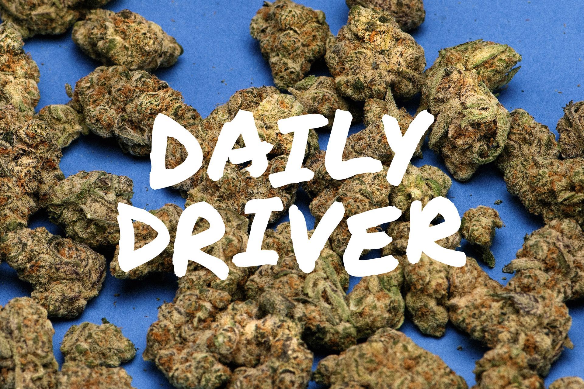 Daily Driver logo on flower photo