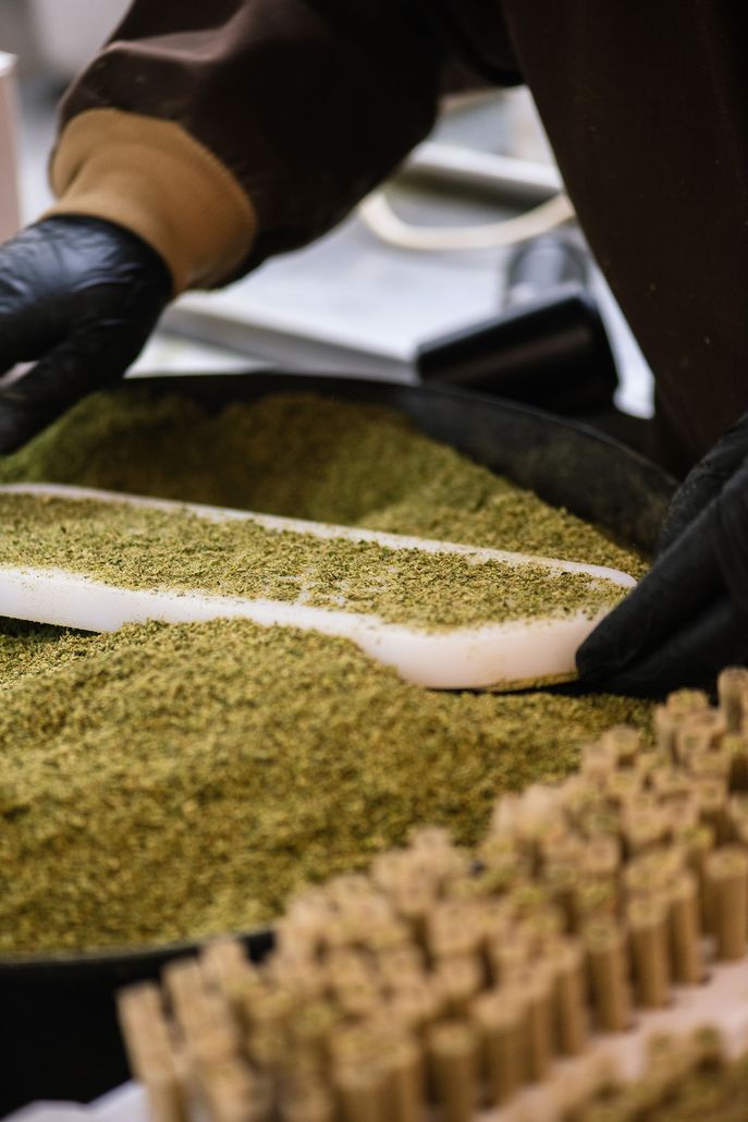 a person wearing black gloves is working on pre-rolls.