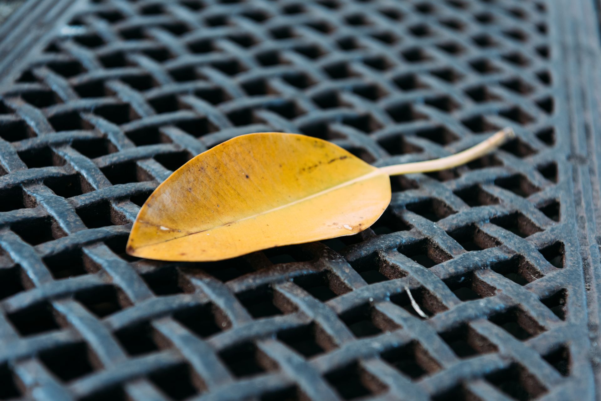 A yellow leaf is laying on top of a black grate.