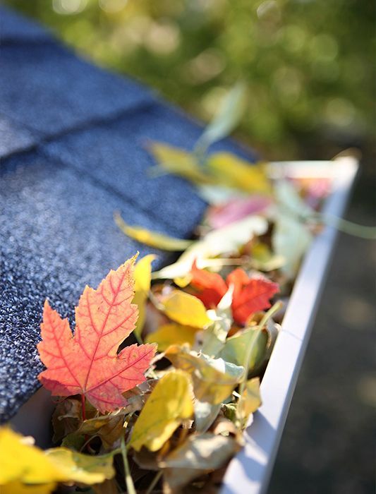 A close up of a gutter with leaves on it