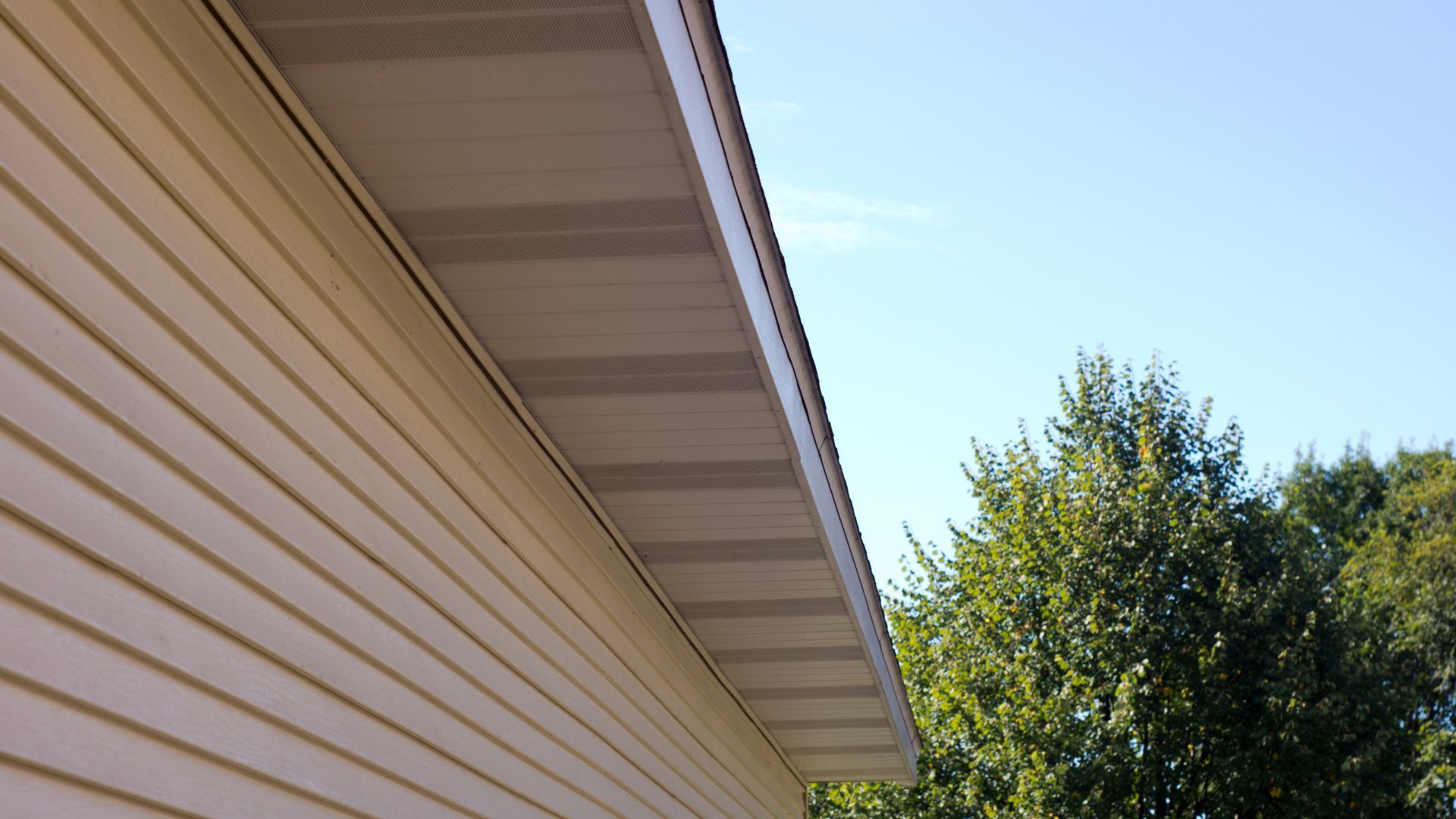 The roof of a house with trees in the background