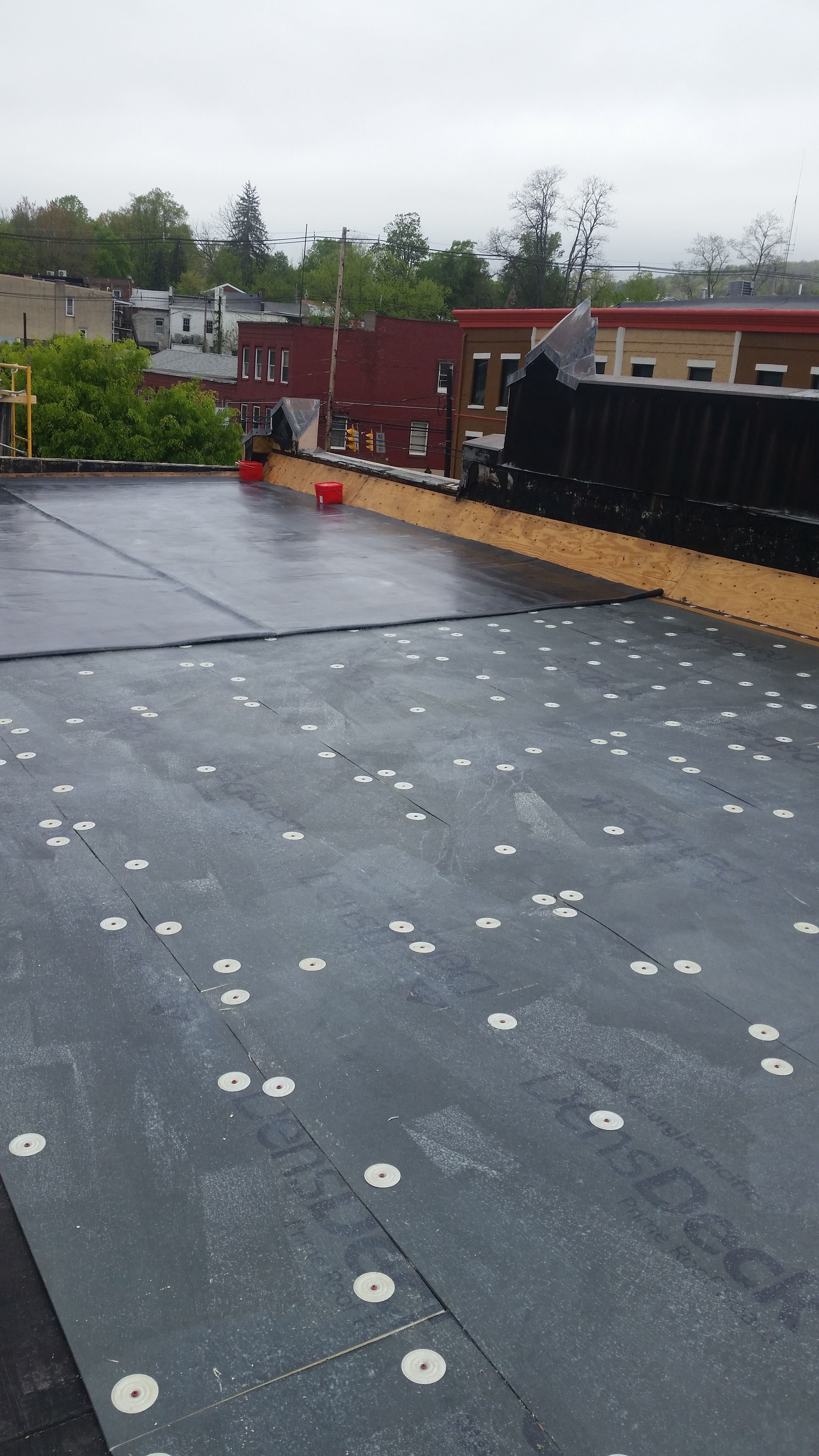 A roof with a lot of white dots on it