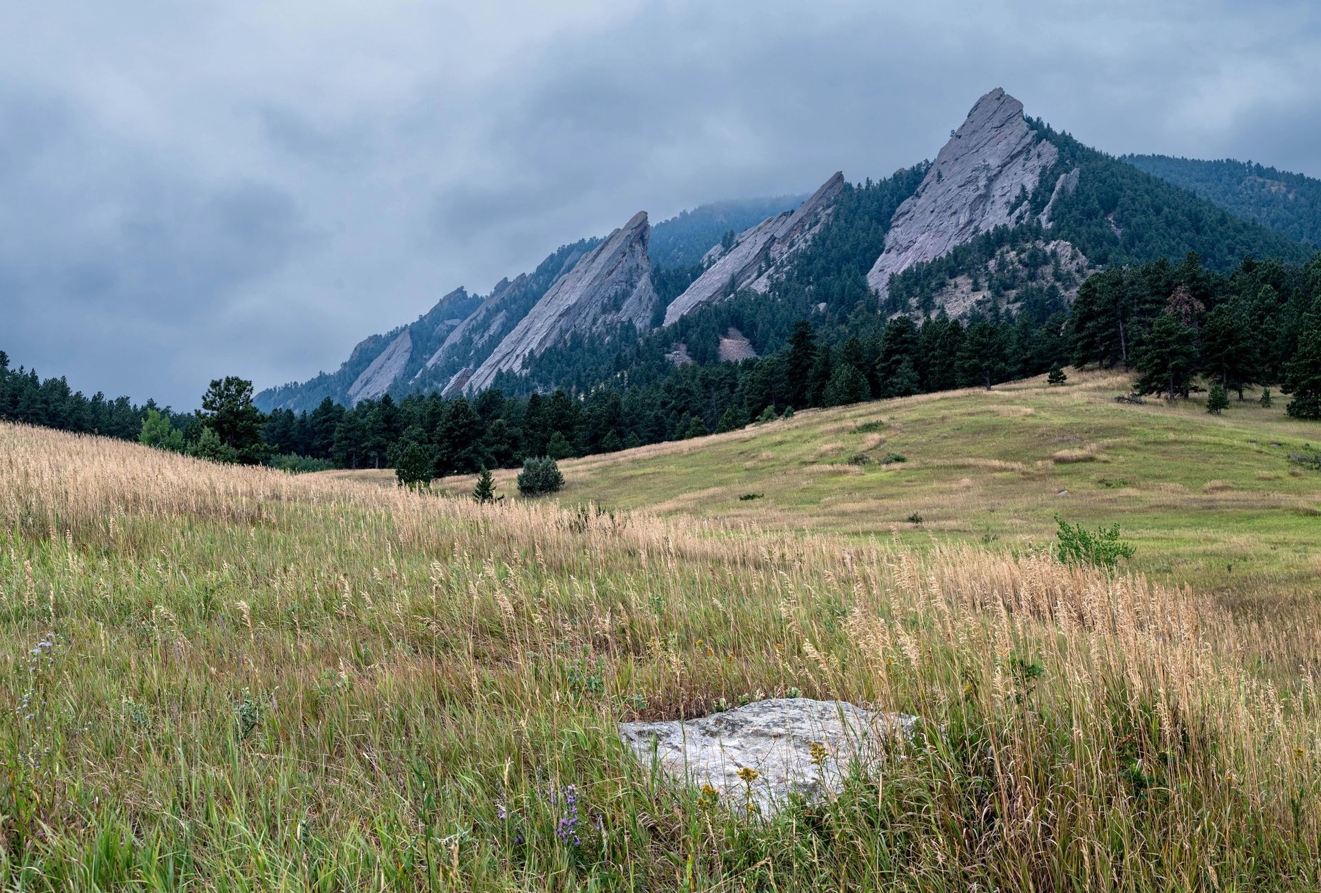 Grassy field with a view of the Flatirons, Boulder, Colorado, under a cloudy sky.