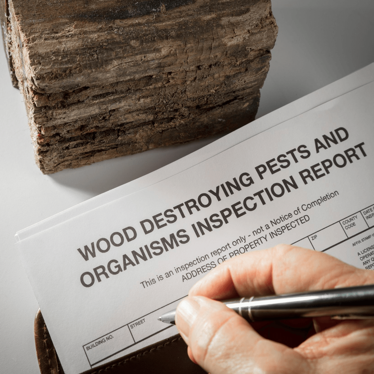 Pest Control Worker and Woman Talking — Wilmington, NC — Canady & Son Exterminating Inc