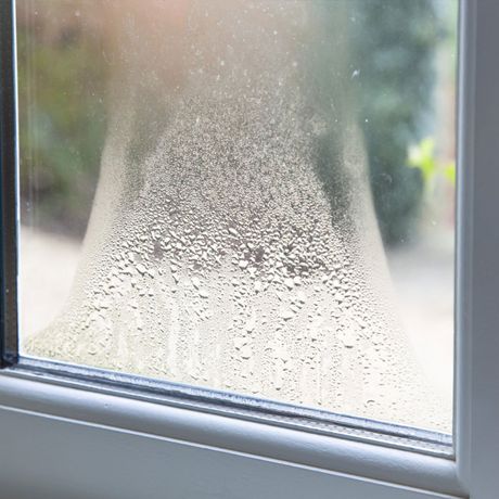 Condensation on Windows — Wilmington, NC — Canady & Son Exterminating Inc