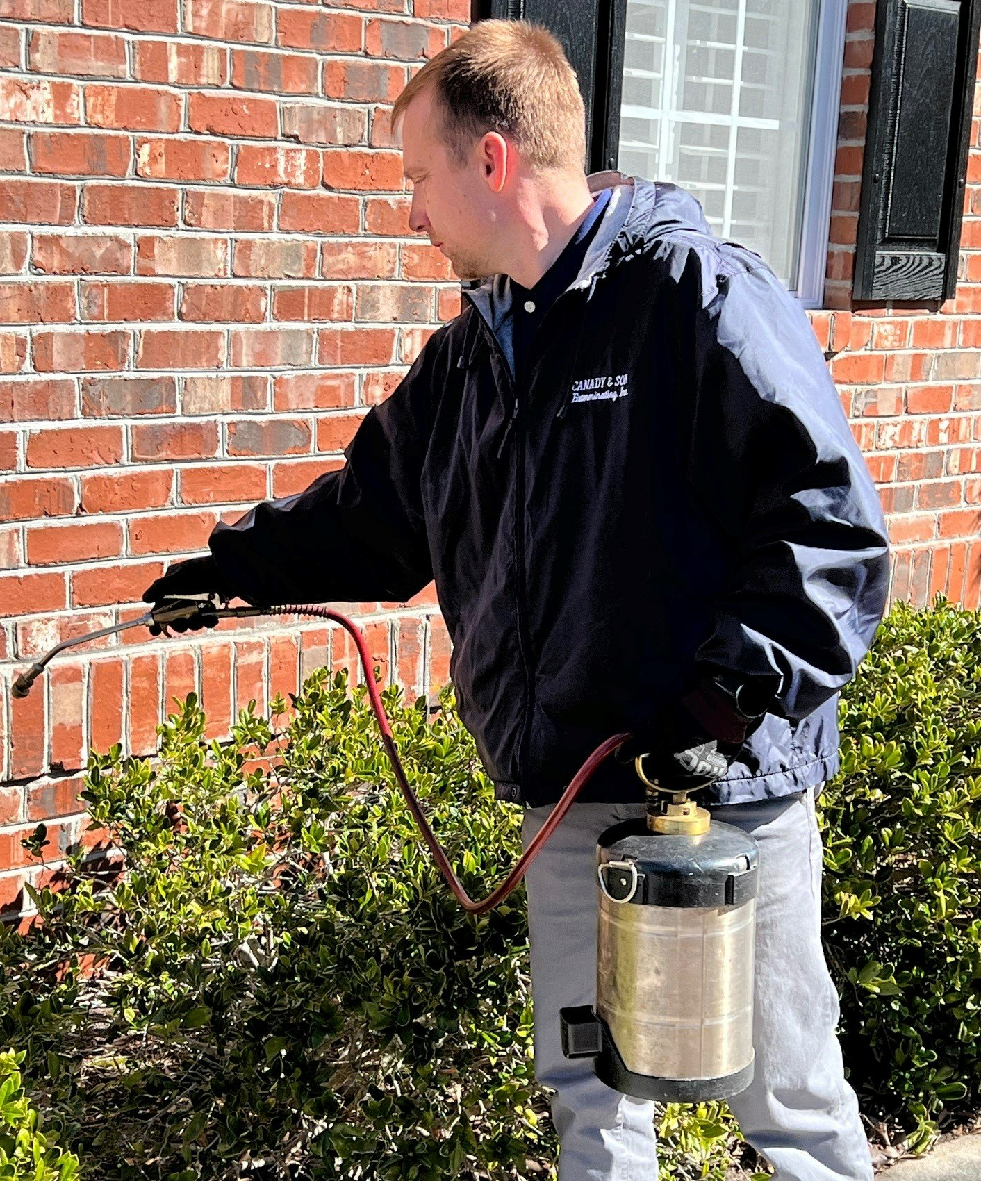 Termite Staff Spraying Chemical Liquid in White Ant Nest — Wilmington, NC — Canady & Son Exterminating Inc