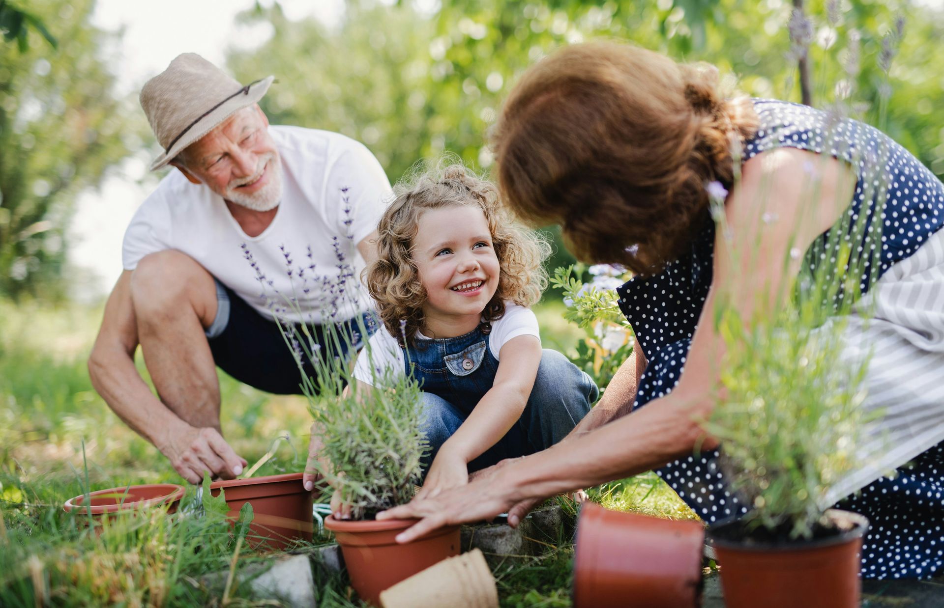 An elderly couple and a little girl are planting potted plants in a garden.