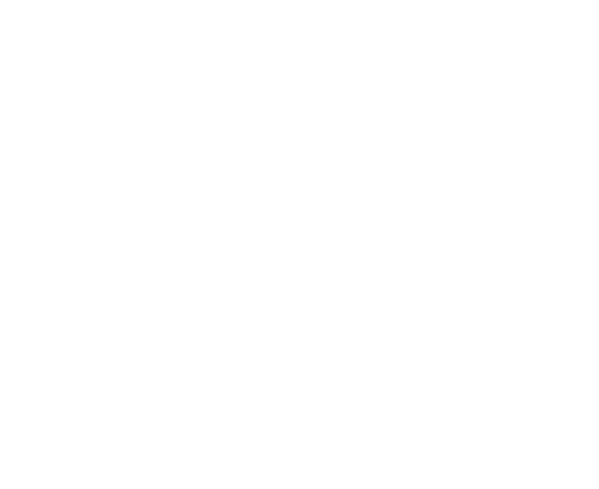 Balozi Transit LLC Logo