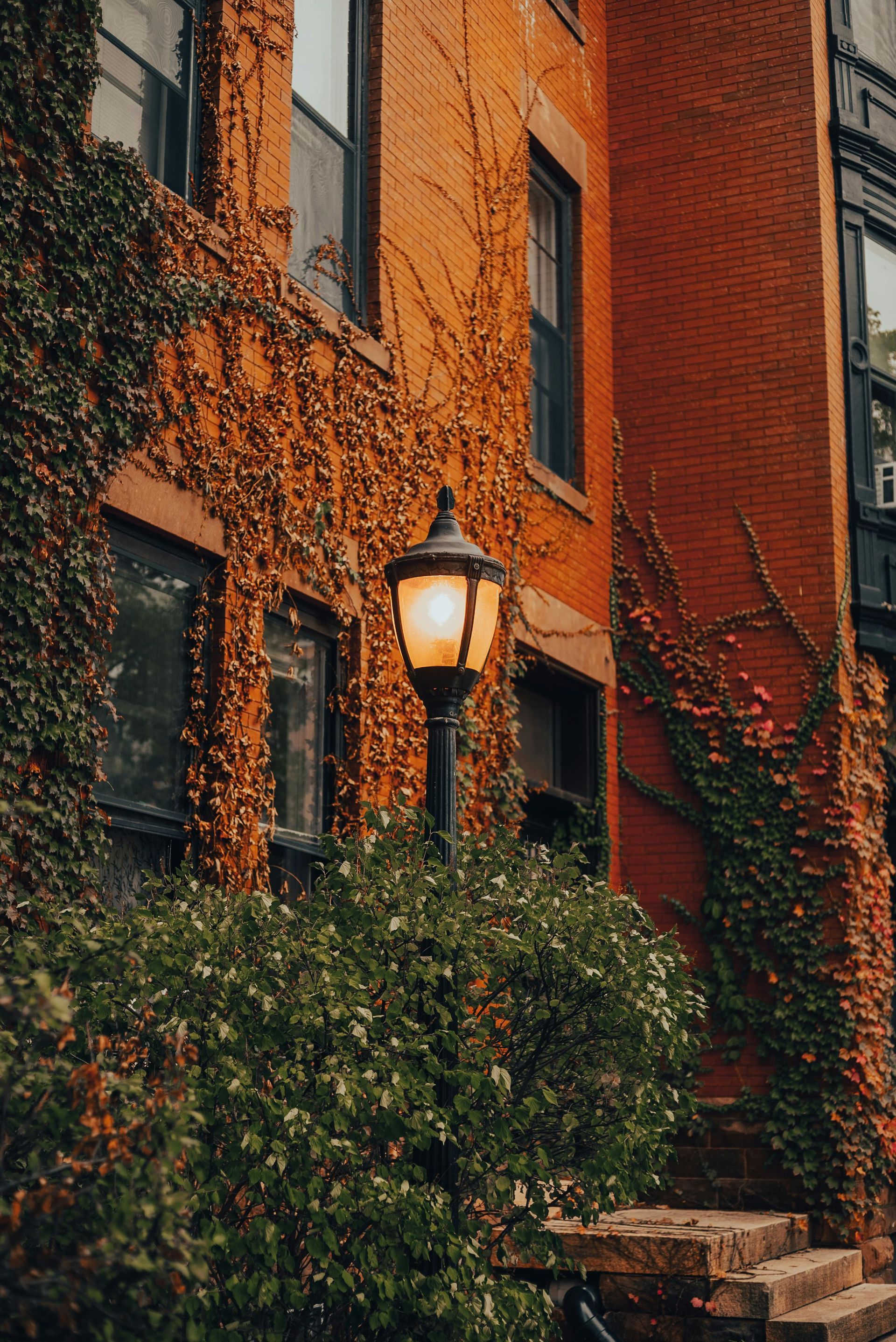 Brick building with ivy, lit street lamp, and steps.