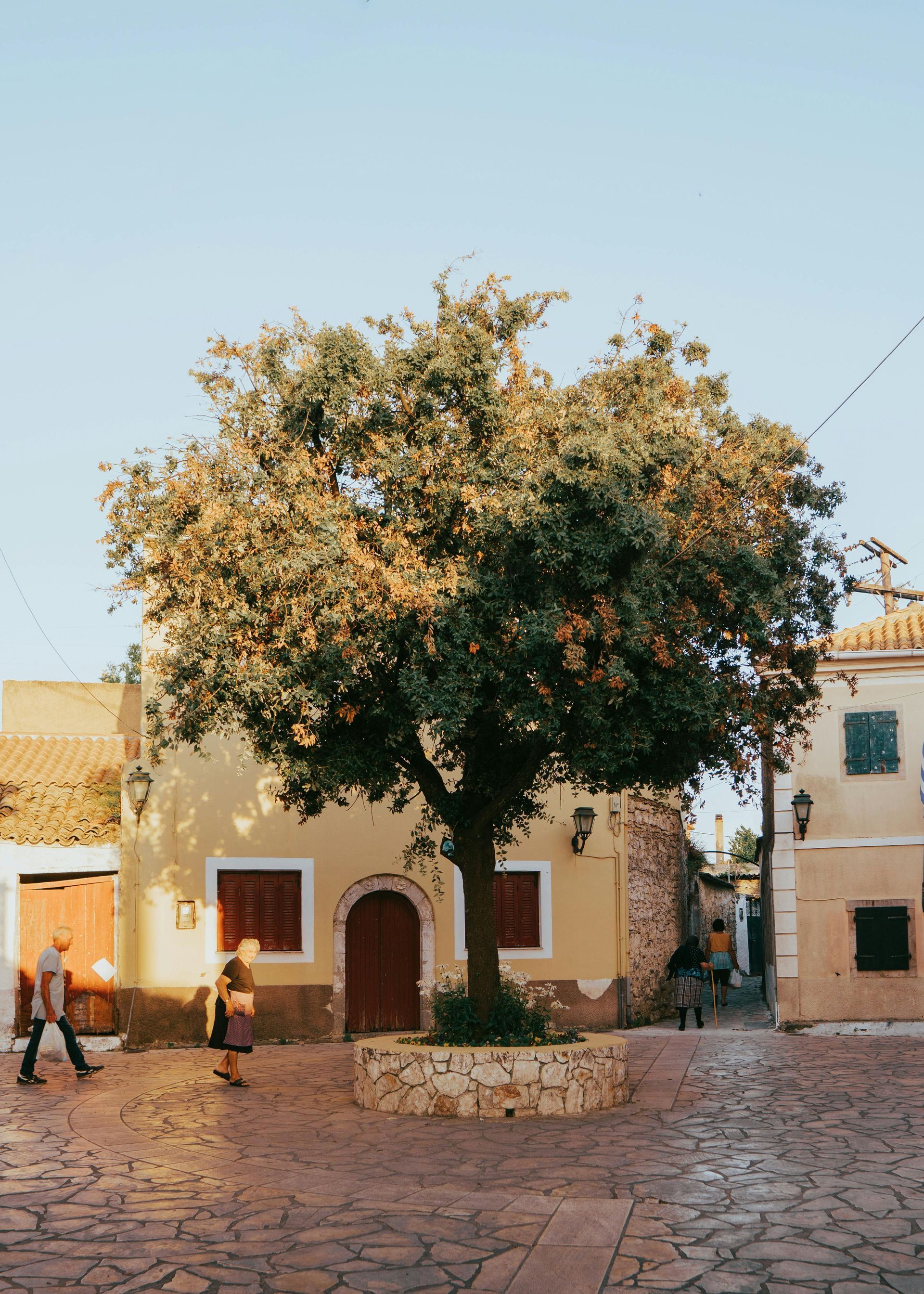 A tree in a cobblestone square, buildings surround it. Sunlight bathes the scene, people walk.
