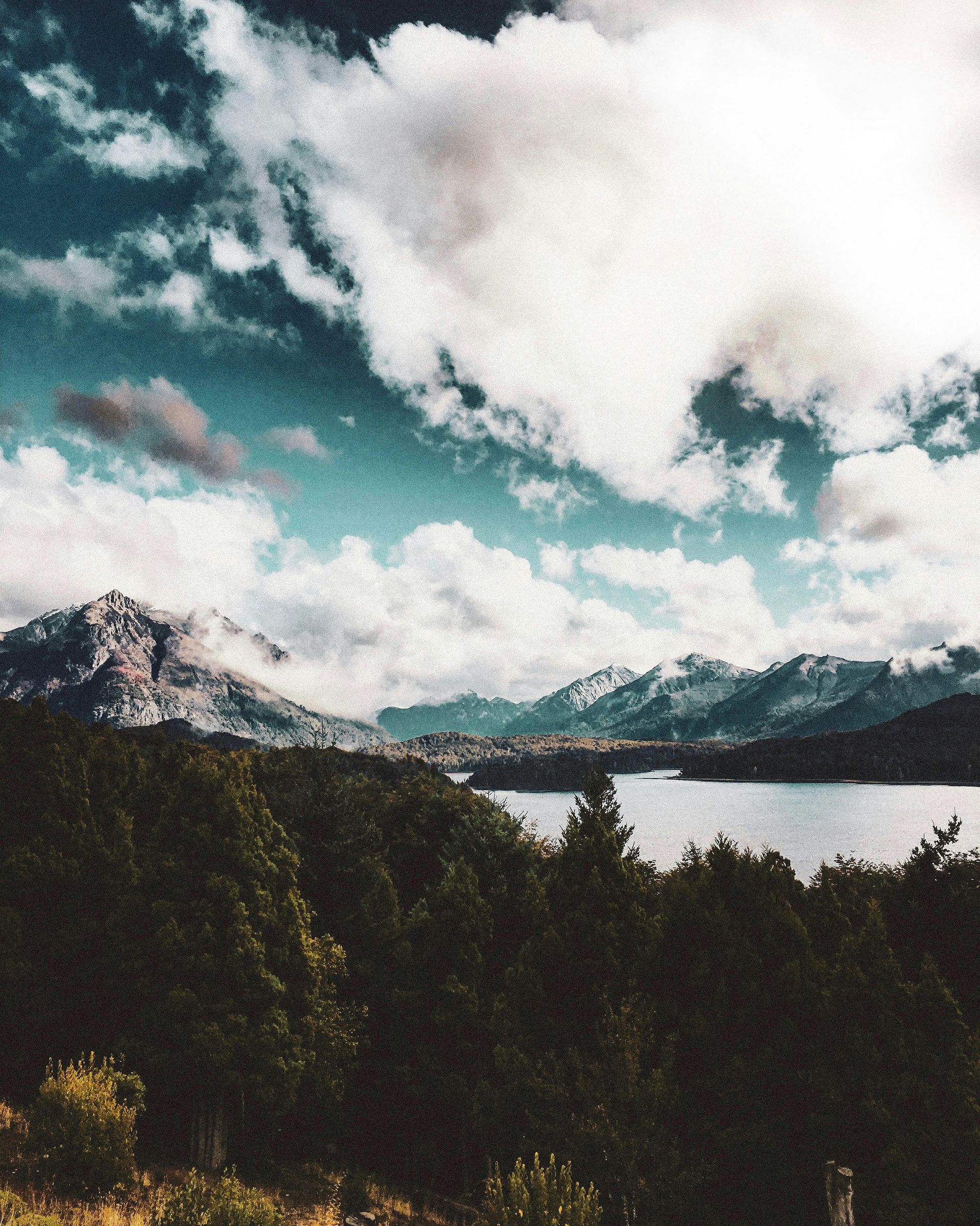 Lush forest overlooking a lake, with snow-capped mountains and a cloudy blue sky.