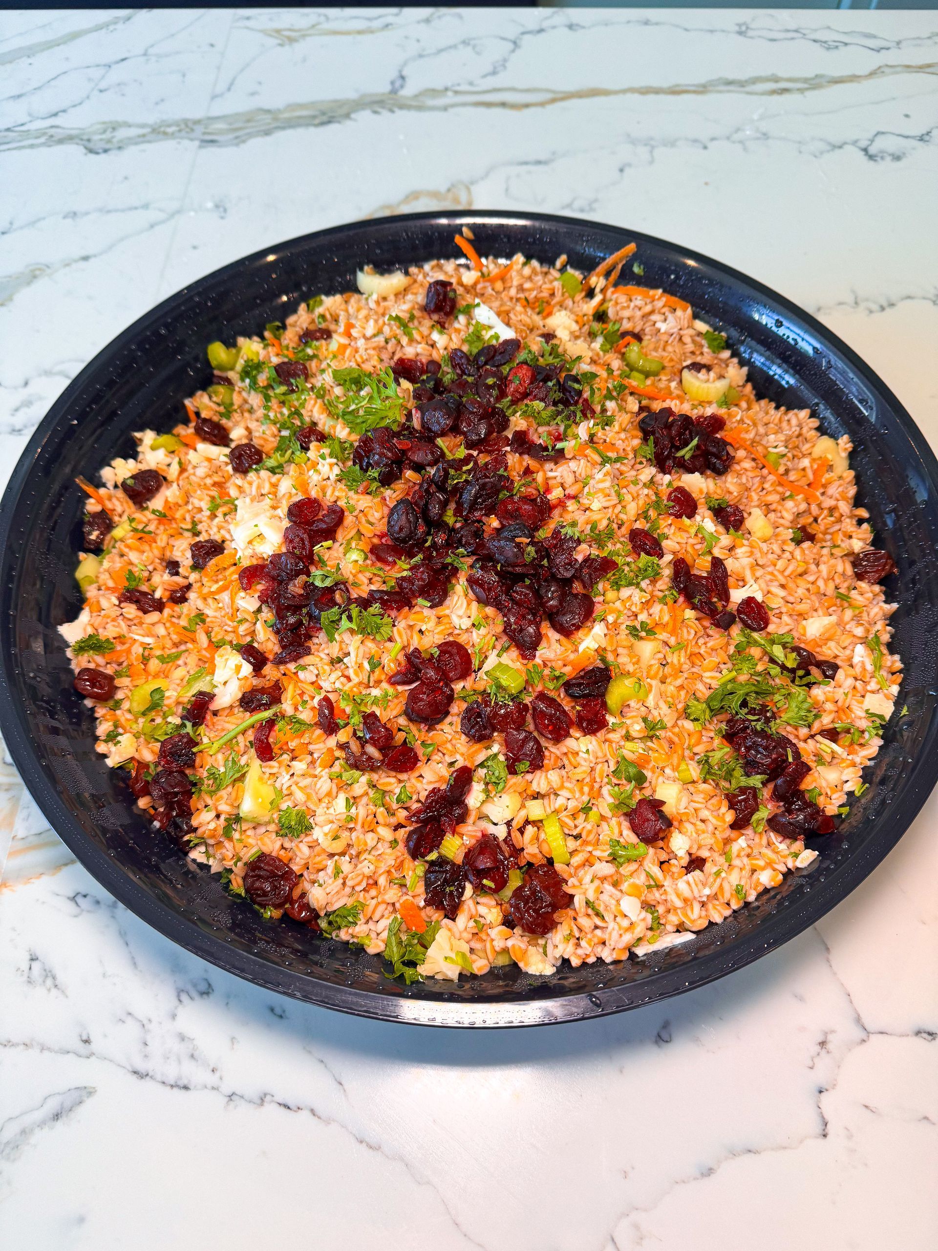 Close-up of a large black platter filled with a colorful salad, garnished with dark red cranberries.
