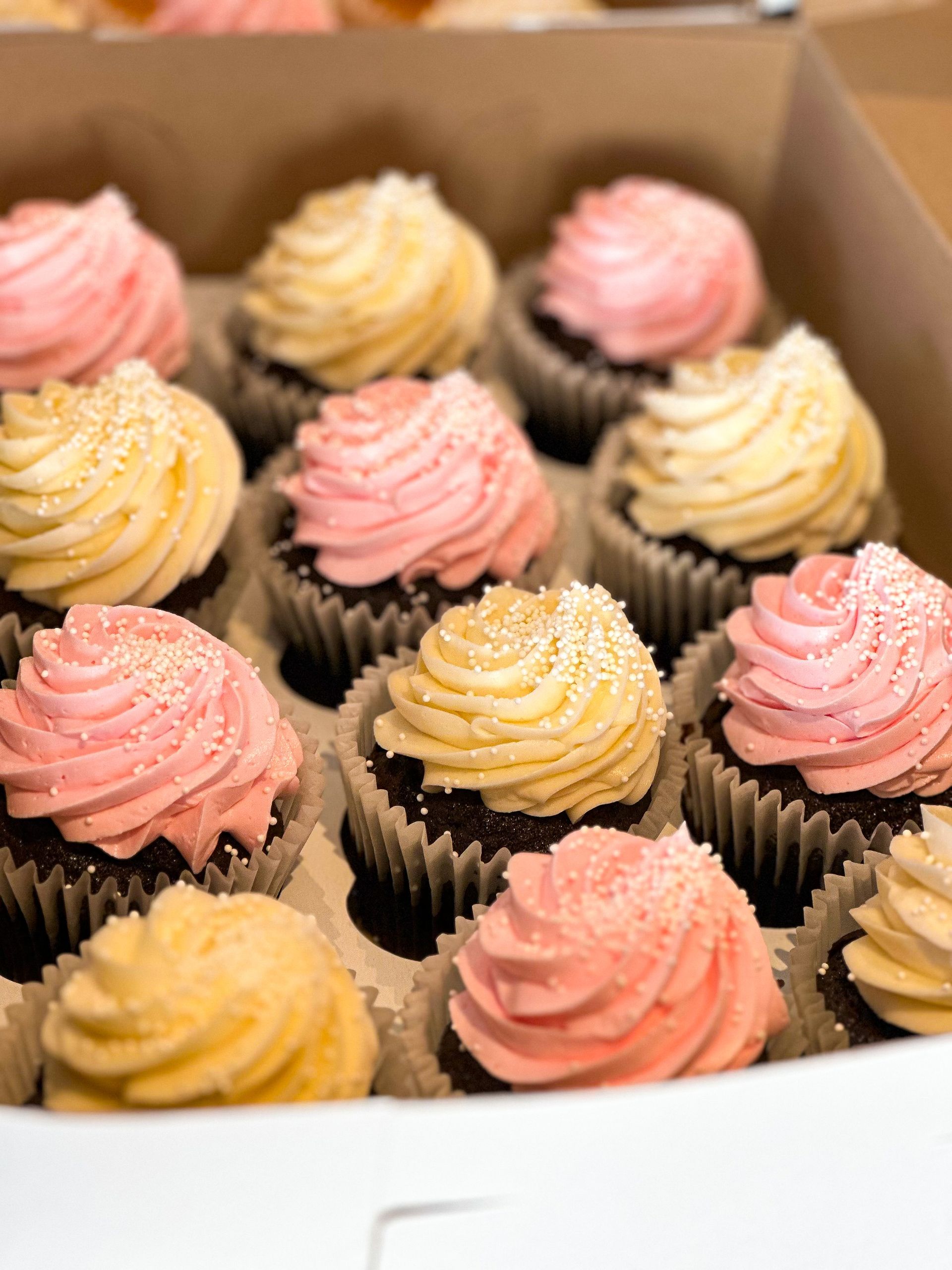 Cupcakes in a box, chocolate base with pink and yellow swirled frosting, sprinkled.