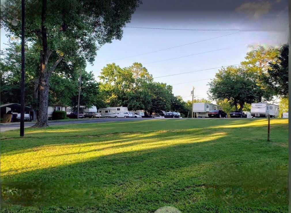 A lush green field with a lot of trees and rvs in the background.