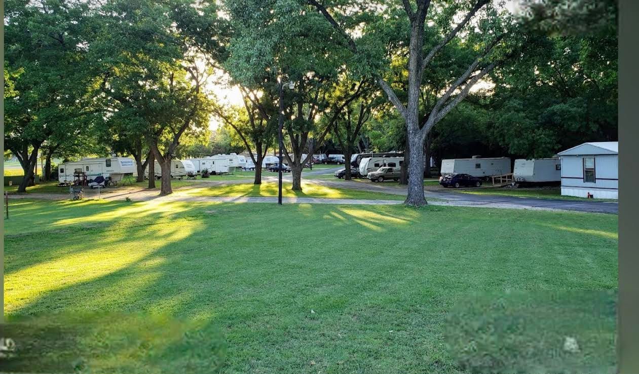 A park with a lot of trees and rvs parked in it.