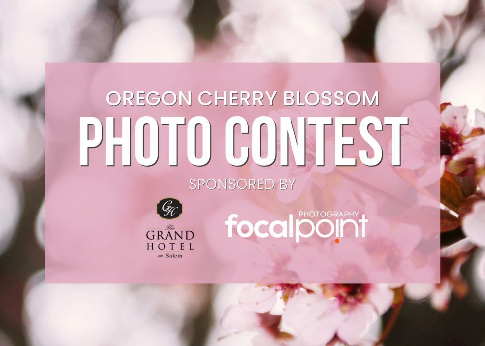 A poster for the oregon cherry blossom photo contest