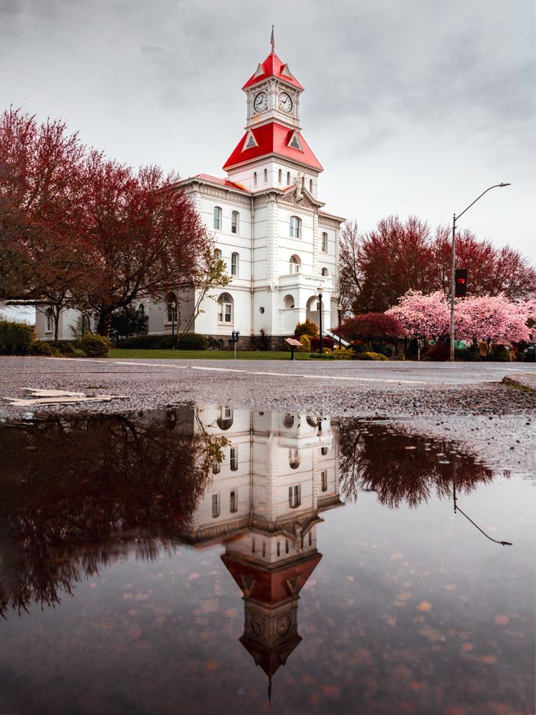 A poster for the oregon cherry blossom photo contest