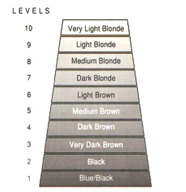 Dark Level 2