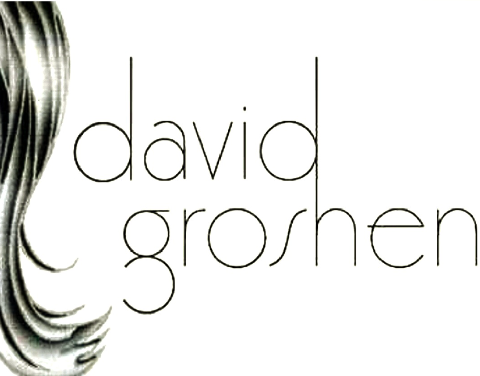 David Groshen Salon