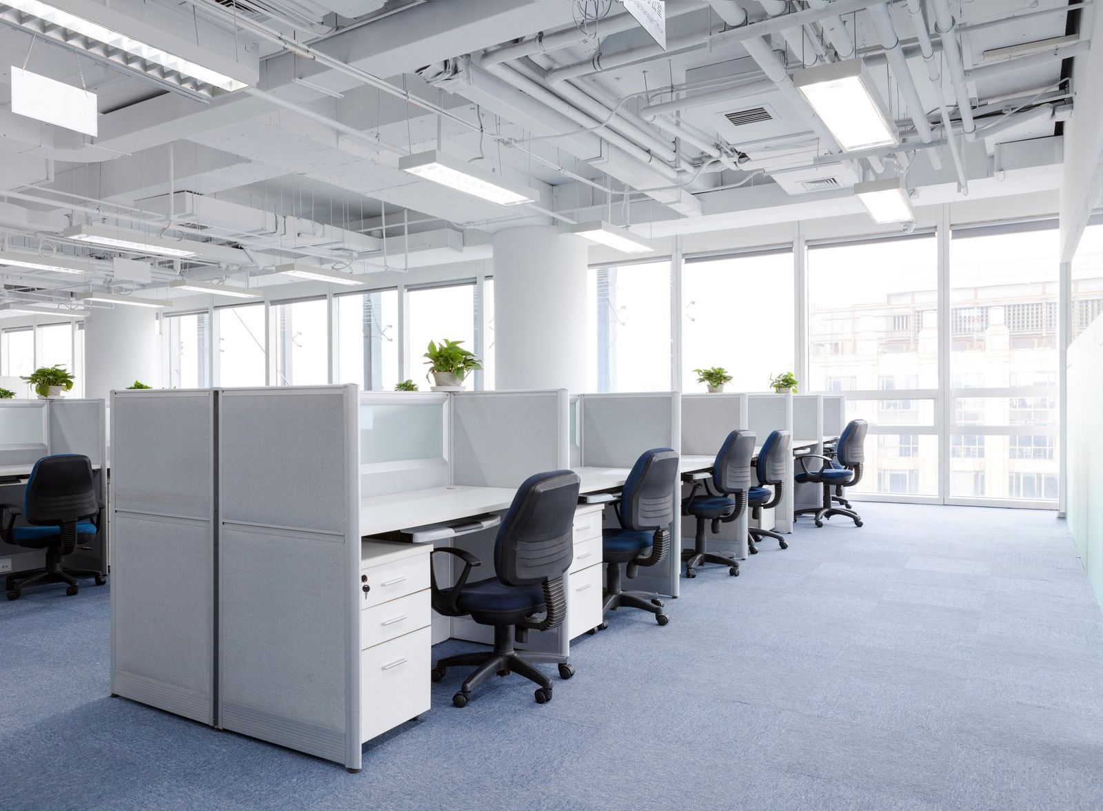 A row of cubicles in an office with lots of windows.