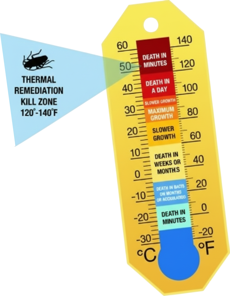 Thermometer with thermal remediation kill zone for cockroaches at 120-140°F, showing temperature ranges and effects.