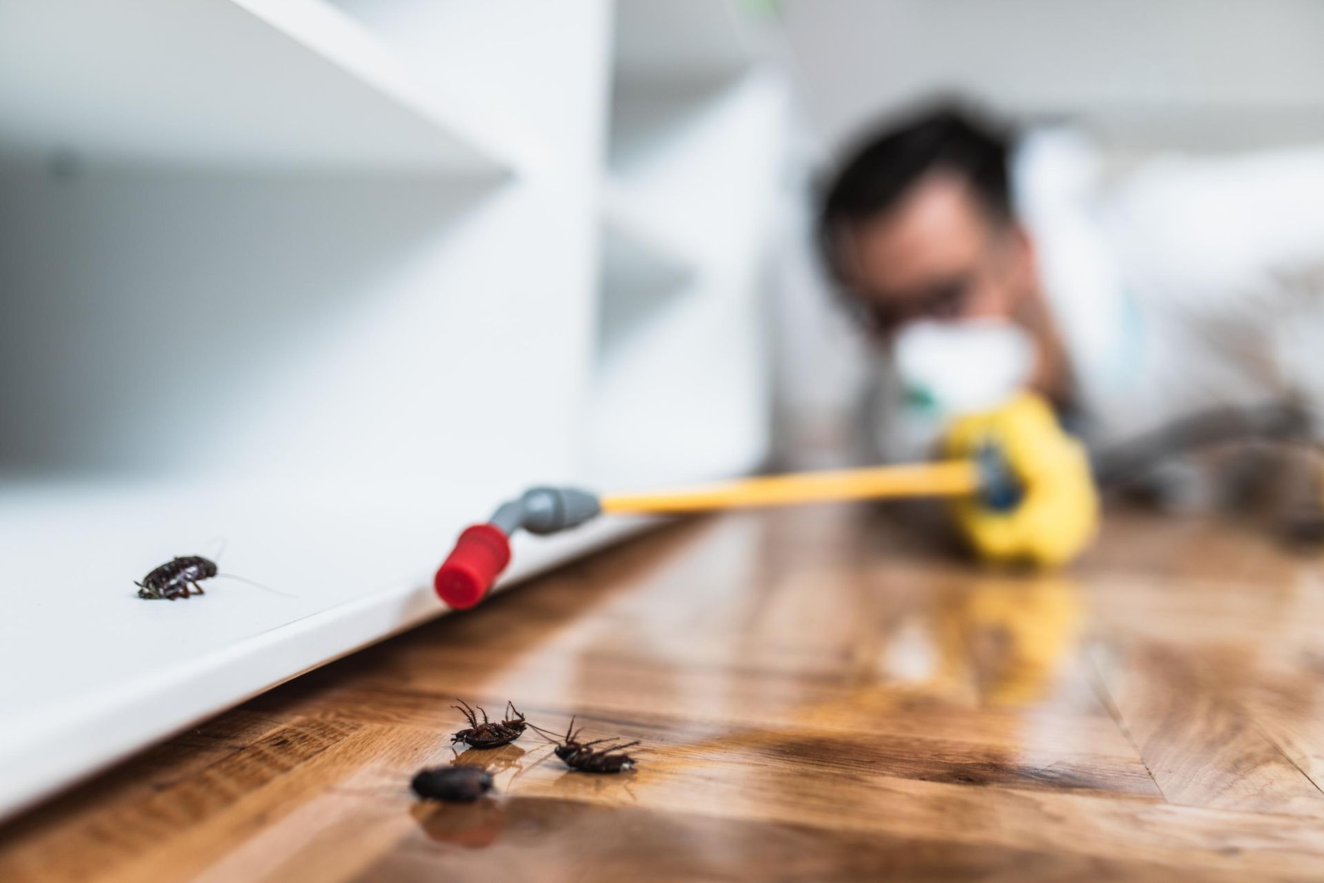 Pest control worker spraying insecticide near cockroaches on a wooden floor, next to a white cabinet.