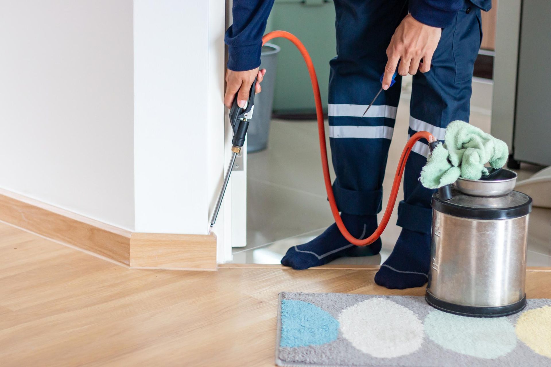 Pest control worker spraying insecticide along a wall's baseboard, next to a door.