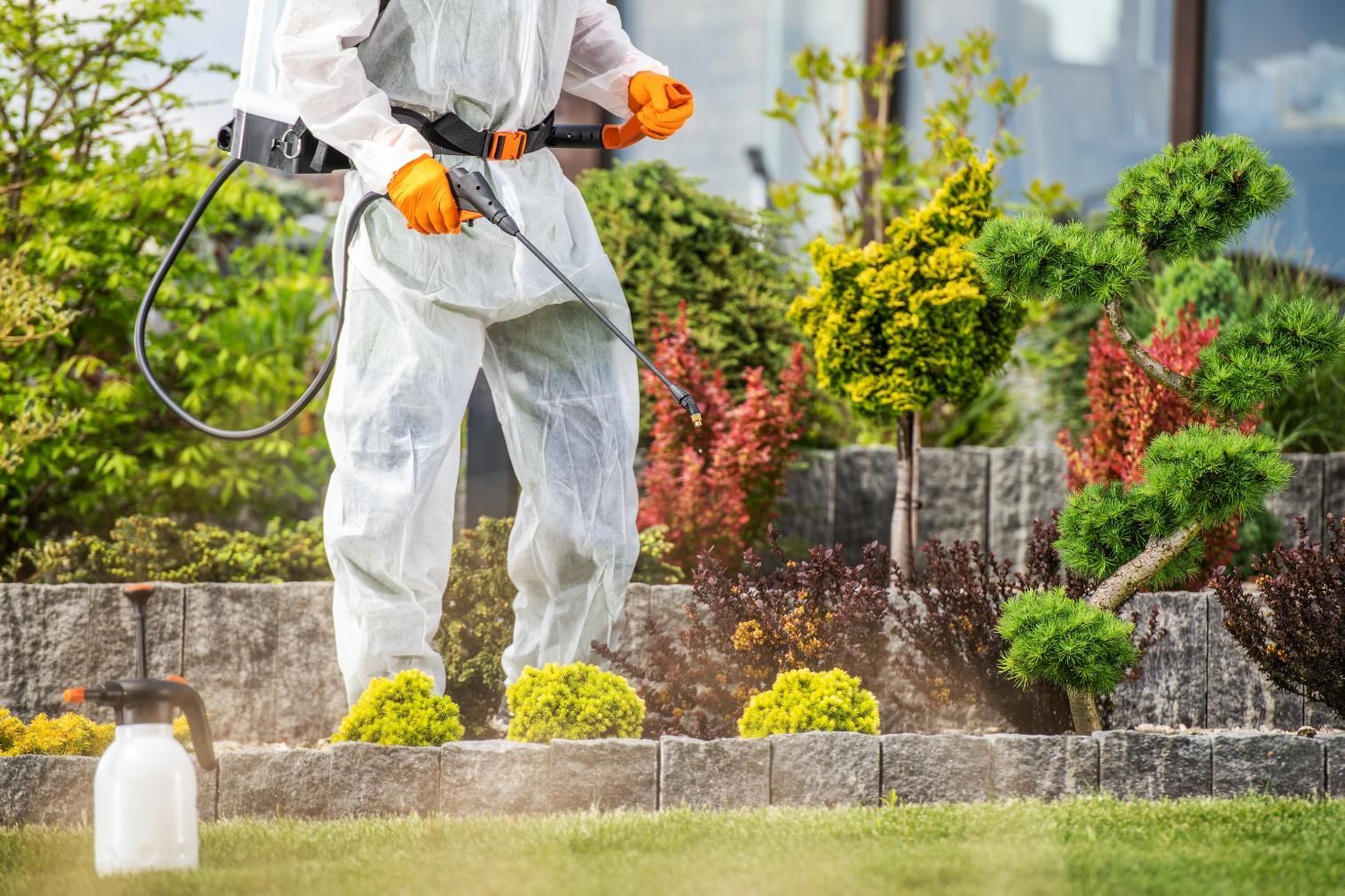 Person in protective suit spraying a garden with a pesticide.