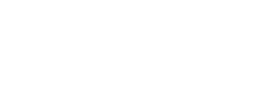 Take Flight Bs Logo