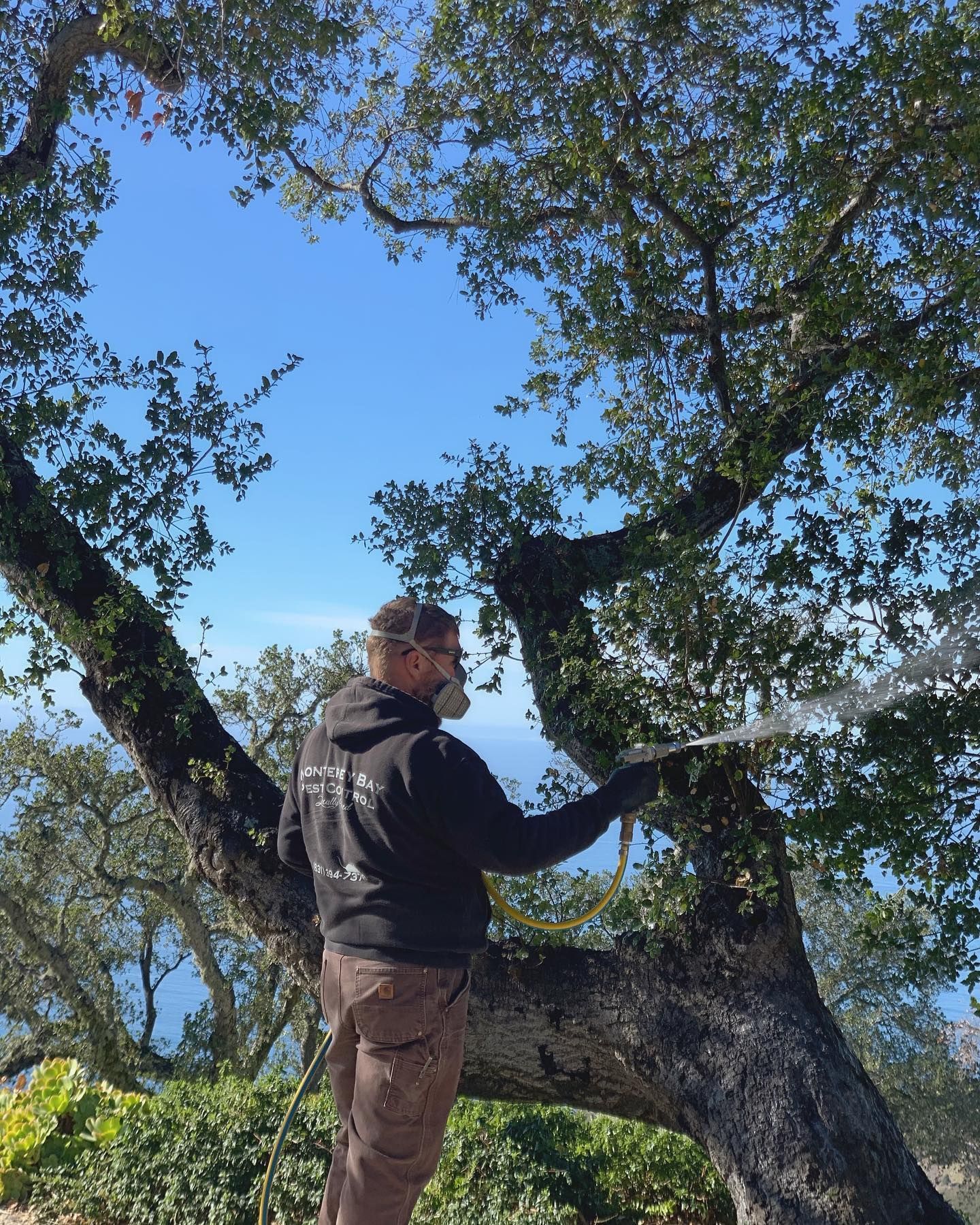 Man Carrying Pesticide — Monterey County, CA — Monterey Bay Pest Control Inc.