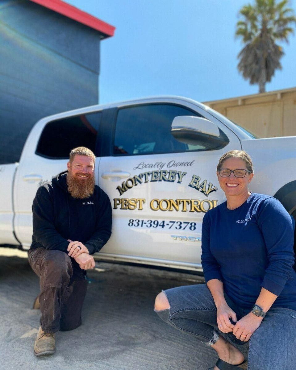 Man Wearing Facemask Using Insecticide — Monterey County, CA — Monterey Bay Pest Control Inc.