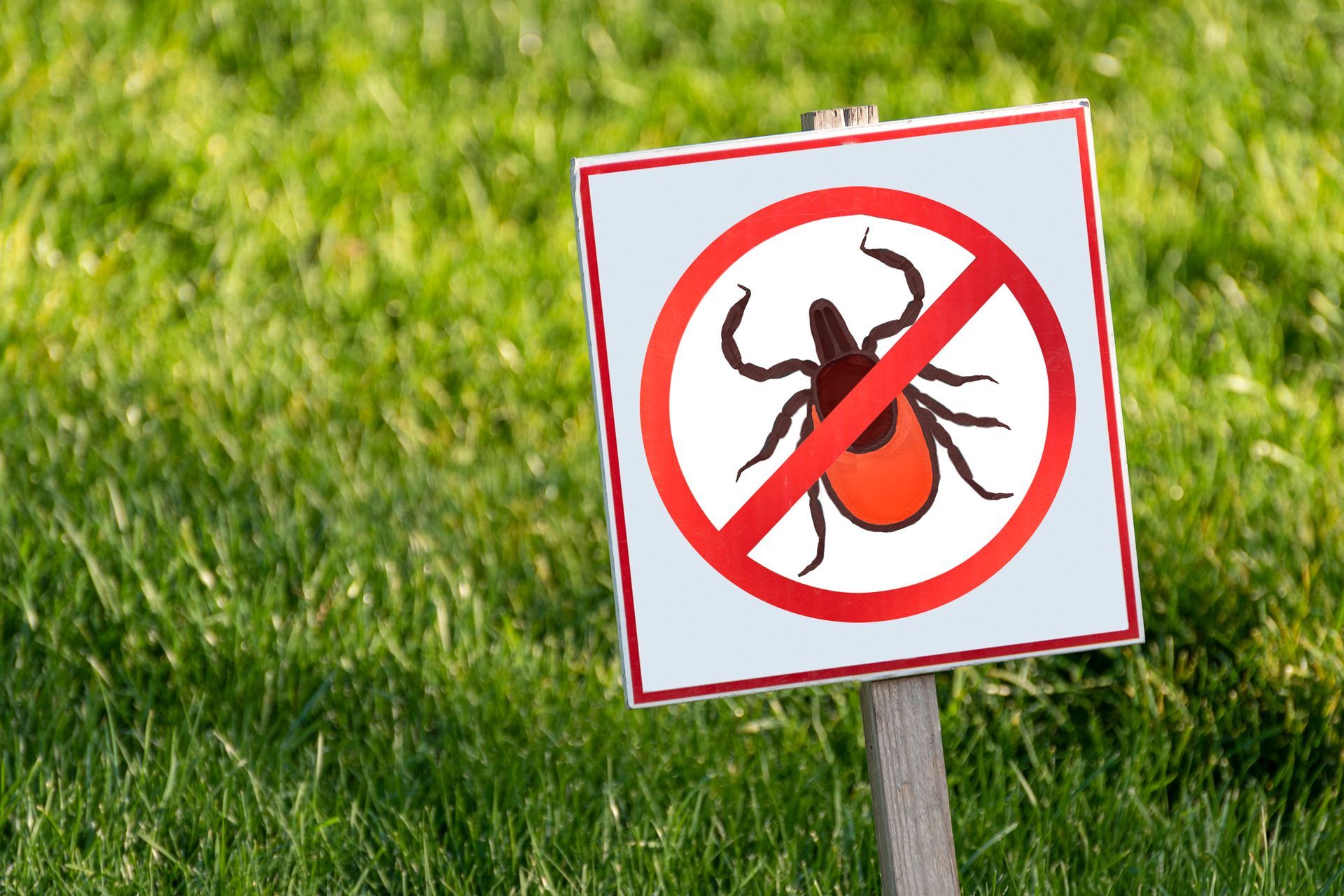A lawn sign featuring a red circle with a diagonal line crossing out a black and red tick illustration A lawn sign featuring a red circle with a diagonal line crossing out a black and red tick illustration