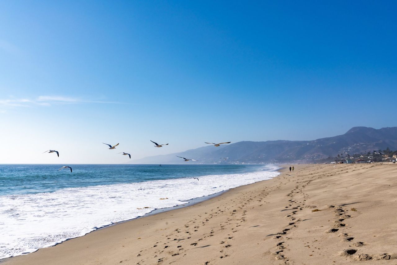 Seaside — Monterey County, CA — Monterey Bay Pest Control Inc.