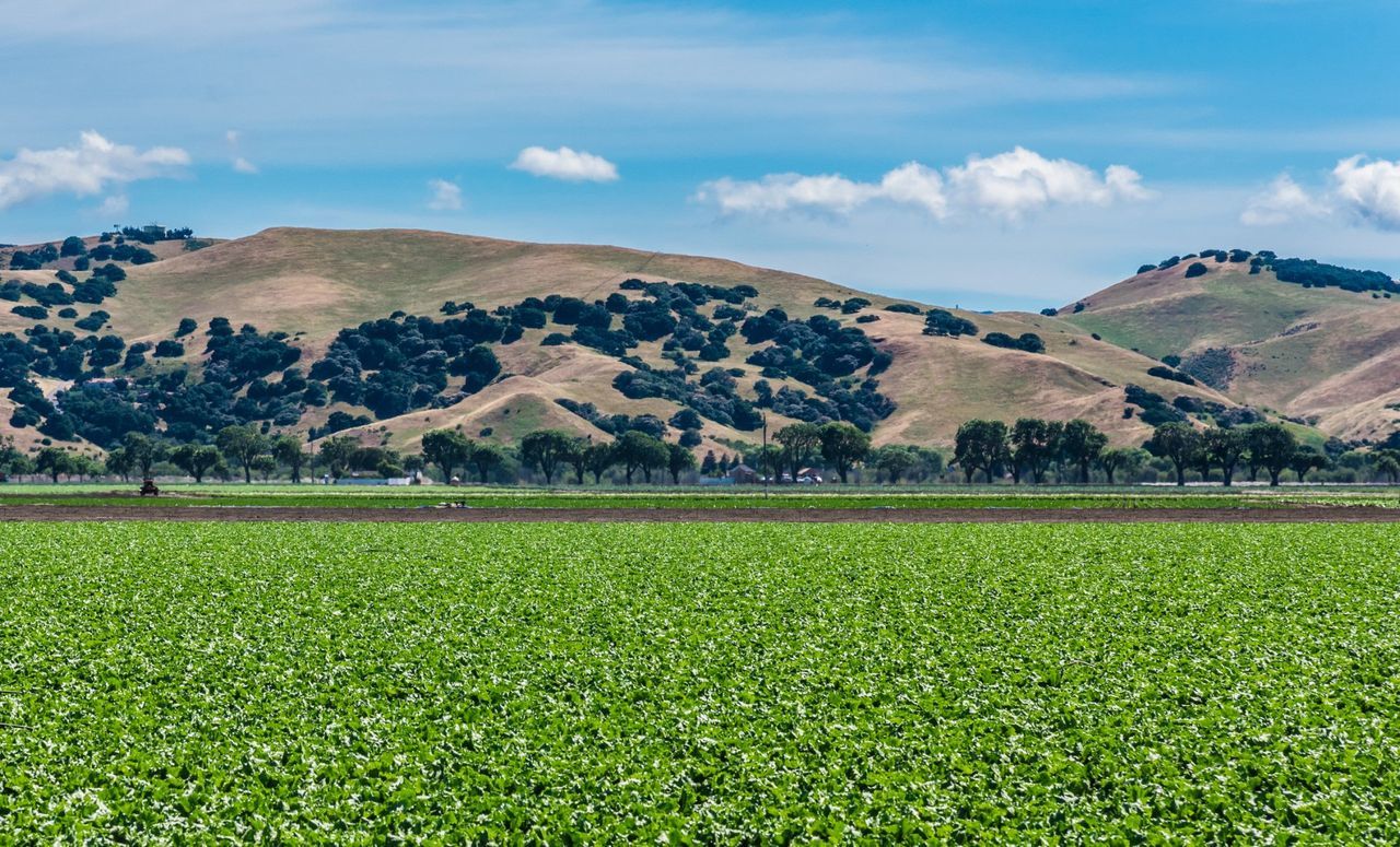 Salinas — Monterey County, CA — Monterey Bay Pest Control Inc.