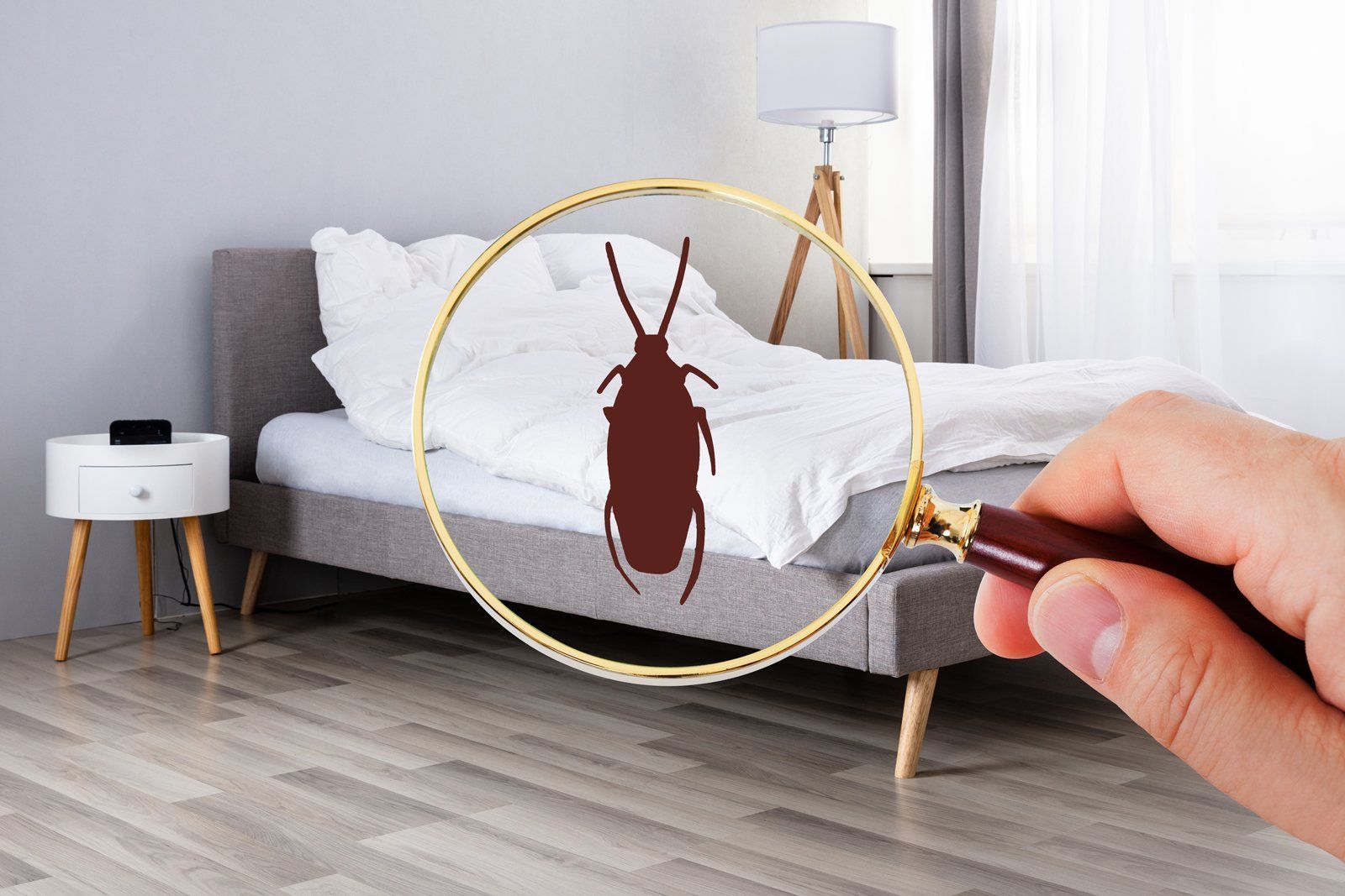 Magnifying Glass With Insect Icon — Monterey County, CA — Monterey Bay Pest Control Inc.