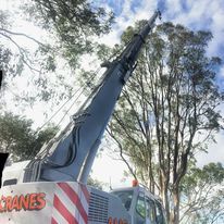 Tree removal crane hire specialists in Sydney