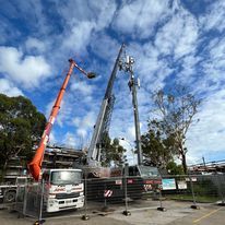 Tree removal crane hire in Sydney
