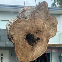 tree removal crane hire