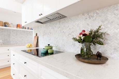 Clean Kitchen with Plants - Kitchen Makers in Ninderry, QLD