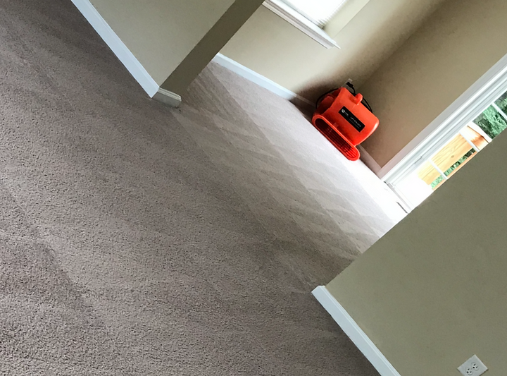 A room with a sliding glass door and a carpeted floor